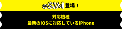 eSIM登場！