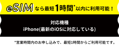 eSIM登場！