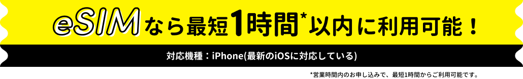 eSIM登場！