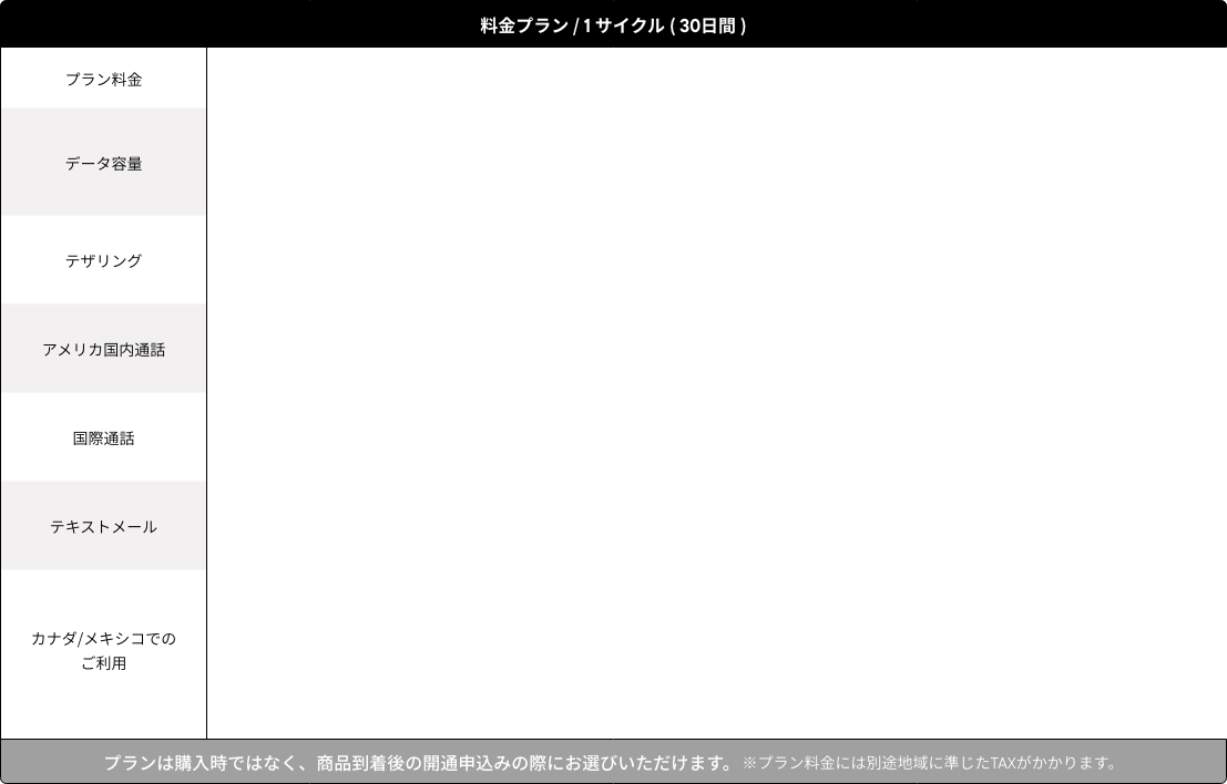 料金プラン / 1 サイクル ( 30日間 )