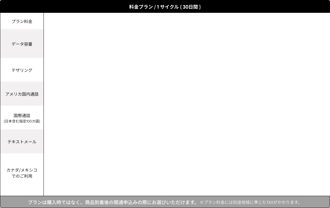 料金プラン / 1 サイクル ( 30日間 )